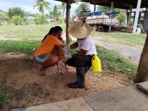 ลงพื้นที่ฉีดวัคซีนป้องกันโรคพิษสุนัขบ้า ให้กับน้องหมาน้องแมว
